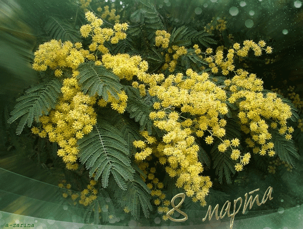 С праздником 8 марта!